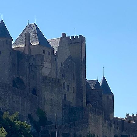 Villa L'Occitane Carcassonne Esterno foto