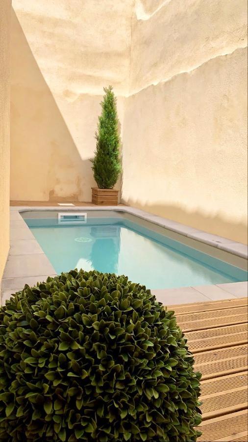 Villa L'Occitane Carcassonne Esterno foto
