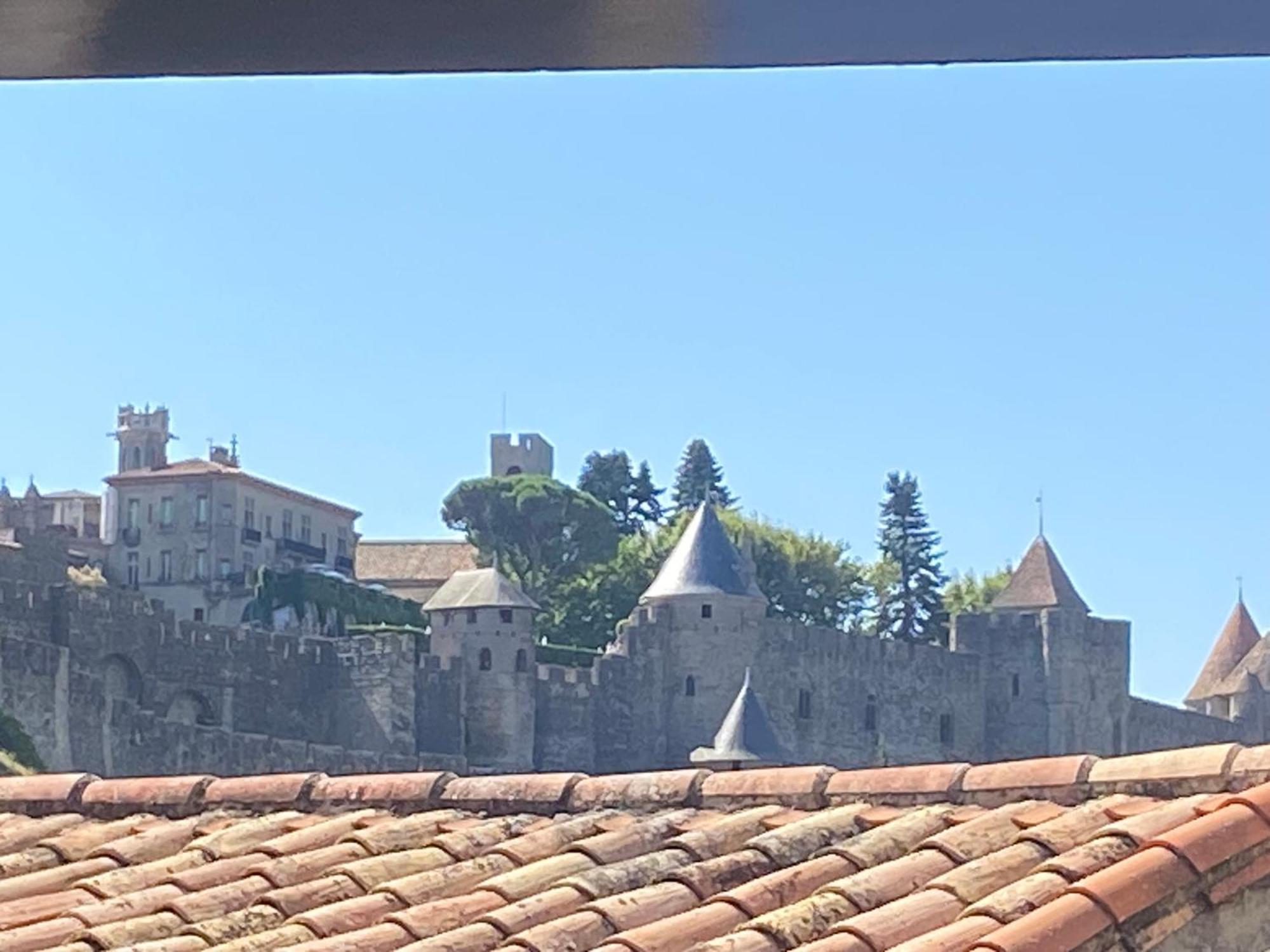 Villa L'Occitane Carcassonne Esterno foto